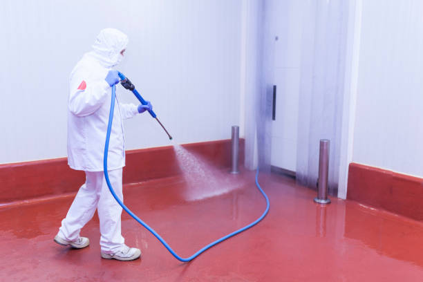 Best Patio and Deck Pressure Washing  in Brushy, OK