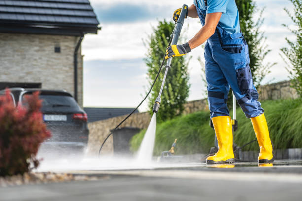 Best Solar Panel Cleaning  in Brushy, OK